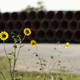 Unused pipes near Blanco, TX., in 2019.